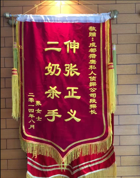 「宁南县私家调查」怎样处理婚外情